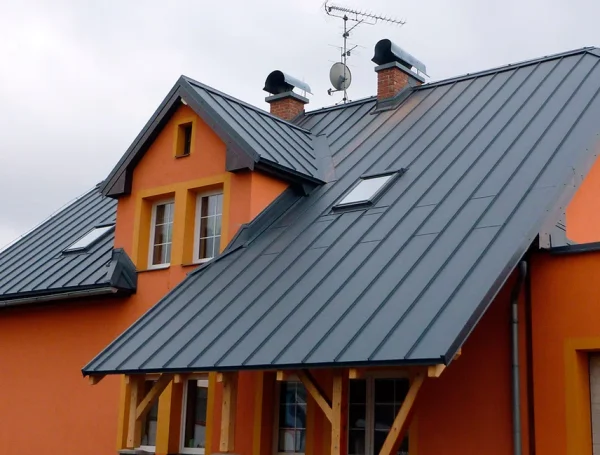 Long-Lasting Metal Roofing for Ultimate Protection